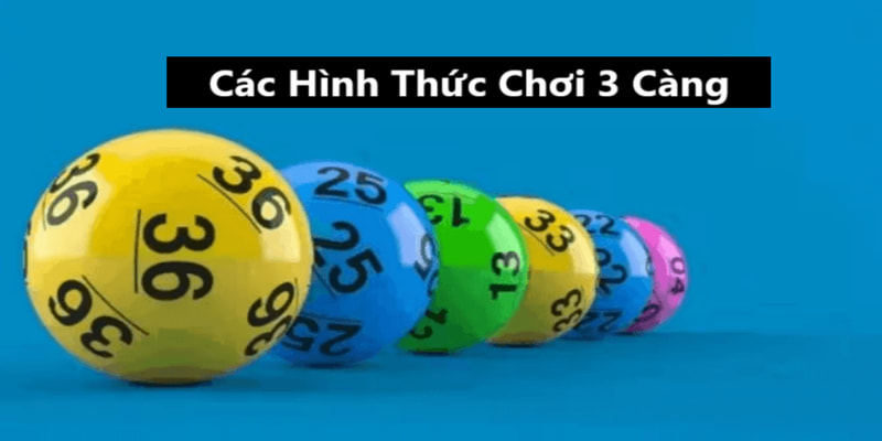 các loại hình 3 càng ăn được bao nhiêu