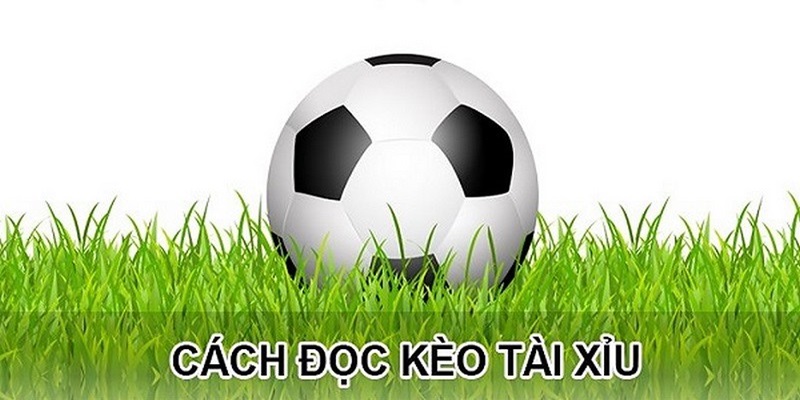 Cách đọc kèo Over / Under chuẩn xác từ chuyên gia